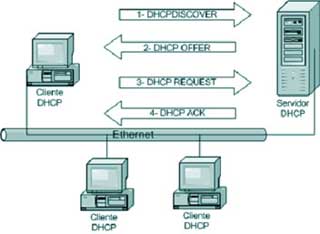 Proceso DHCP